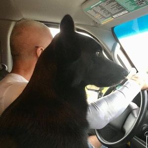 Meet your Posher, Tim